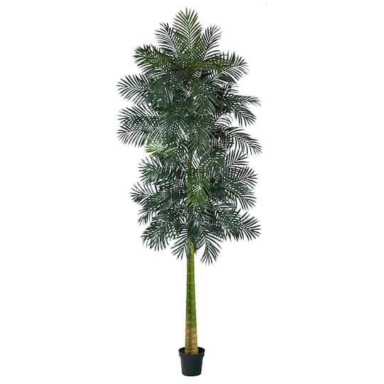 10ft. Potted Double Stalk Golden Cane Palm Tree